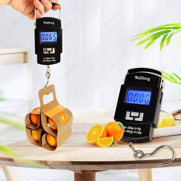 Hanging Scale
