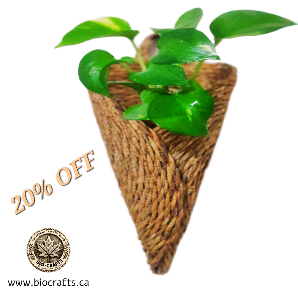 Bio-Cratfs - Biodegradable handicrafts and eco concious living in Canada promo